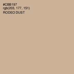 #CBB197 - Rodeo Dust Color Image